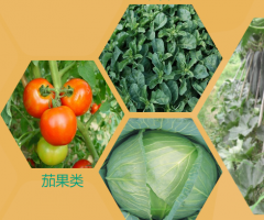 簽約燕*（朝陽(yáng)）農(nóng)業(yè)科技股份有限公司遼寧網(wǎng)站制作價(jià)格*950