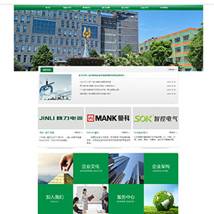 家電網站建設上線莫西*實業電器有限公司官網