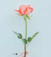 簽約萬*源花藝有限公司海南網(wǎng)站制作價格*899