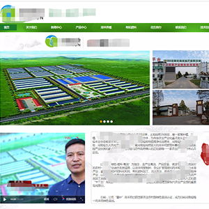 農業網站建設上線現代**農業集團有限公司官網