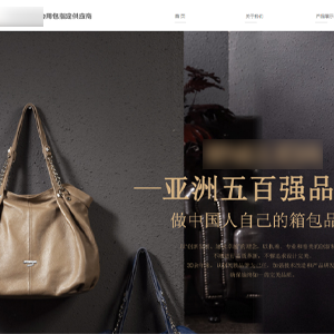 上線皮具網(wǎng)站建設(shè)菲*皮具有限公司官網(wǎng)