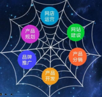 營銷型網站的特點和作用是什么？