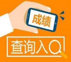 甘肅小程序開發(fā)快查成績