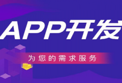 APP定制開發(fā)公司詳談app開發(fā)需要注意的幾點(diǎn)