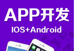 一個(gè)手機(jī)app開發(fā)的大體步驟是哪些