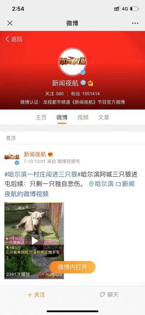七臺河公眾號開發(fā)_【新聞夜航】公眾號圖標(biāo)