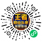 王者職業頭像掛件小程序二維碼