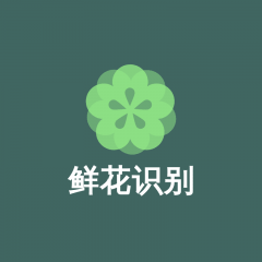 【鮮花識別】吳忠小程序制作創意設計欣賞