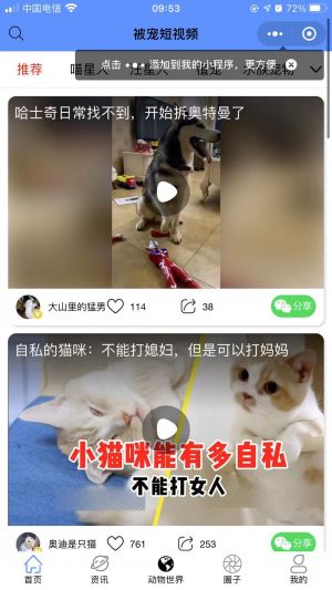 溫州公眾號(hào)開(kāi)發(fā)_【被寵】公眾號(hào)帳號(hào)主體是誰(shuí)