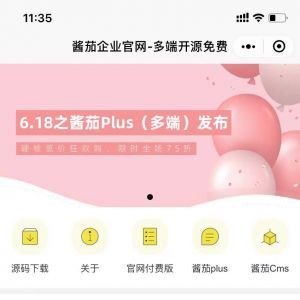工具小程序開發_【醬茄企業官網Free】小程序服務類型有哪些