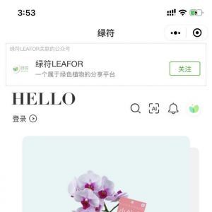 【綠符LEAFOR】小程序的圖標_生活小程序制作
